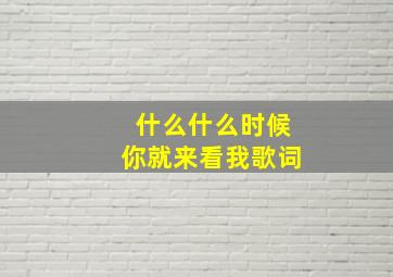 什么什么时候你就来看我歌词