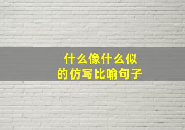 什么像什么似的仿写比喻句子