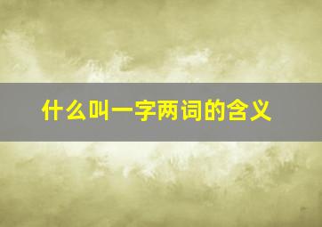 什么叫一字两词的含义