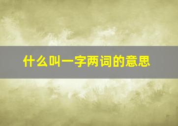 什么叫一字两词的意思