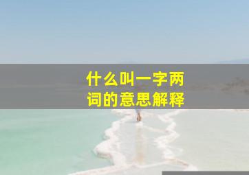 什么叫一字两词的意思解释