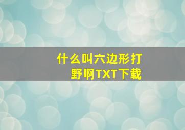 什么叫六边形打野啊TXT下载