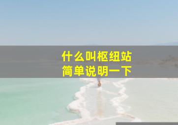 什么叫枢纽站简单说明一下