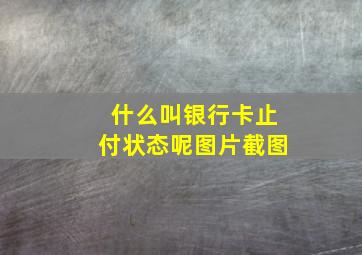 什么叫银行卡止付状态呢图片截图