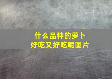 什么品种的萝卜好吃又好吃呢图片