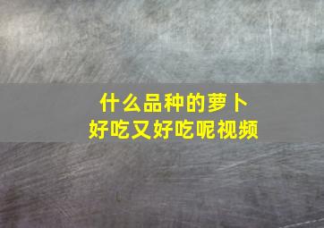 什么品种的萝卜好吃又好吃呢视频