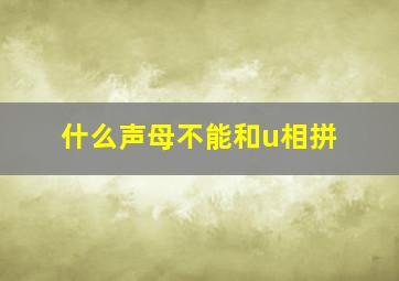 什么声母不能和u相拼