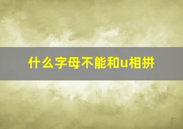 什么字母不能和u相拼