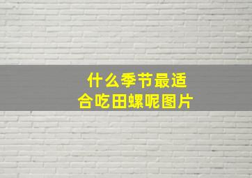 什么季节最适合吃田螺呢图片