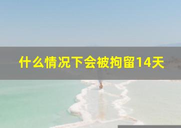 什么情况下会被拘留14天