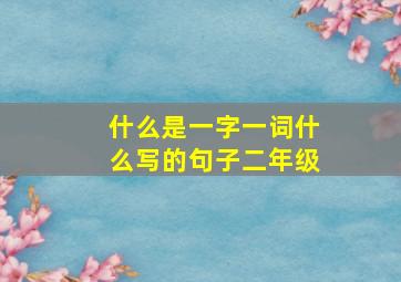 什么是一字一词什么写的句子二年级