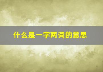 什么是一字两词的意思