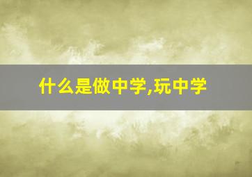 什么是做中学,玩中学