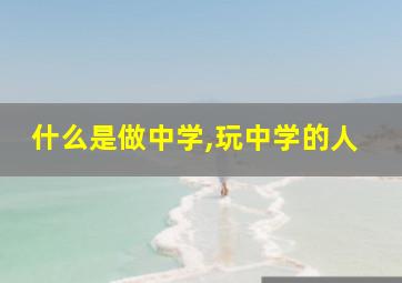 什么是做中学,玩中学的人