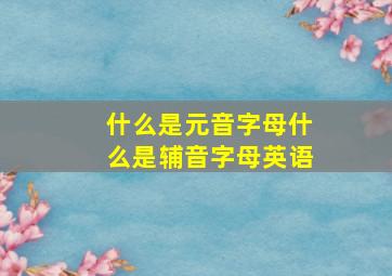 什么是元音字母什么是辅音字母英语