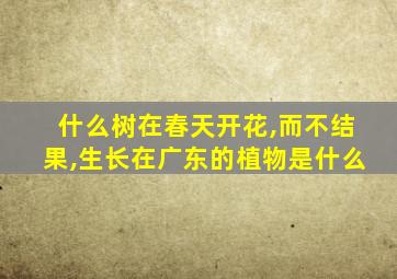 什么树在春天开花,而不结果,生长在广东的植物是什么