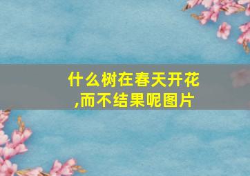 什么树在春天开花,而不结果呢图片