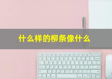 什么样的柳条像什么