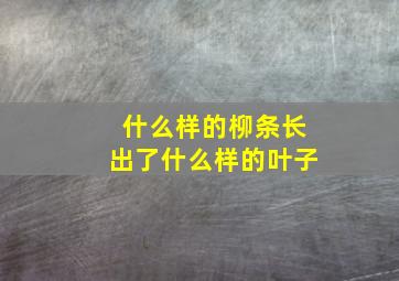 什么样的柳条长出了什么样的叶子