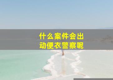 什么案件会出动便衣警察呢