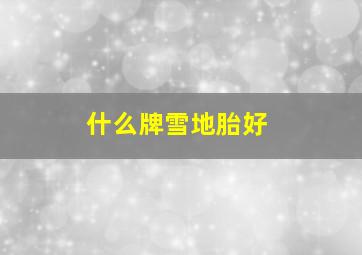 什么牌雪地胎好