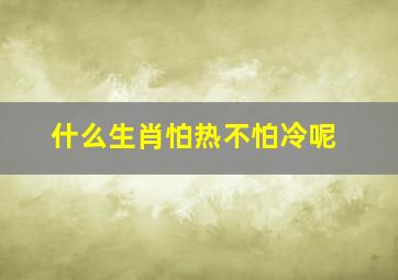 什么生肖怕热不怕冷呢