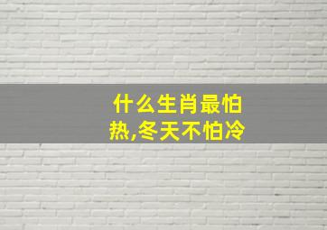 什么生肖最怕热,冬天不怕冷