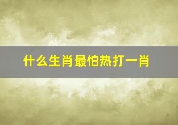 什么生肖最怕热打一肖