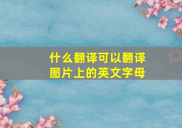 什么翻译可以翻译图片上的英文字母