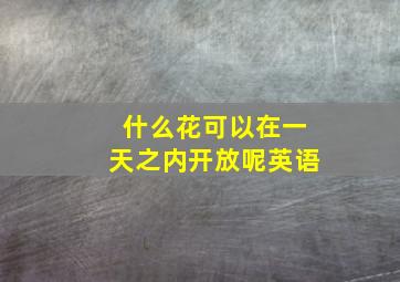 什么花可以在一天之内开放呢英语