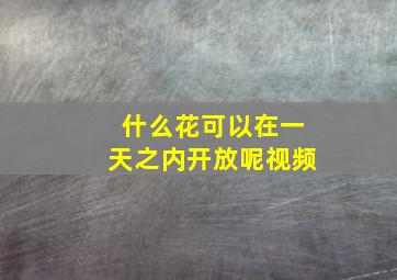 什么花可以在一天之内开放呢视频