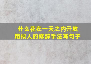 什么花在一天之内开放用拟人的修辞手法写句子