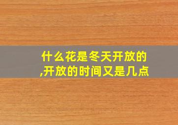 什么花是冬天开放的,开放的时间又是几点