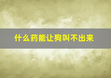 什么药能让狗叫不出来