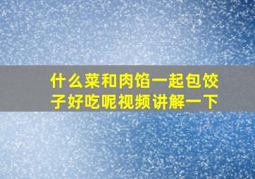 什么菜和肉馅一起包饺子好吃呢视频讲解一下