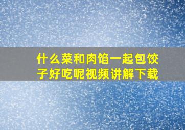 什么菜和肉馅一起包饺子好吃呢视频讲解下载