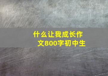 什么让我成长作文800字初中生