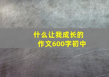 什么让我成长的作文600字初中