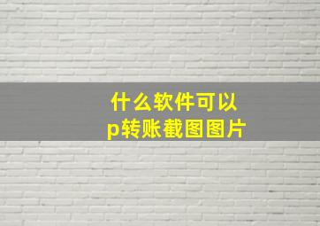 什么软件可以p转账截图图片