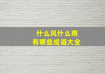 什么风什么雨有哪些成语大全