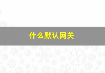 什么默认网关