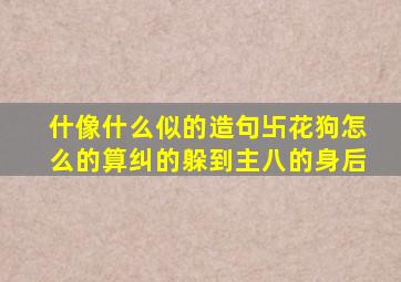 什像什么似的造句卐花狗怎么的算纠的躲到主八的身后