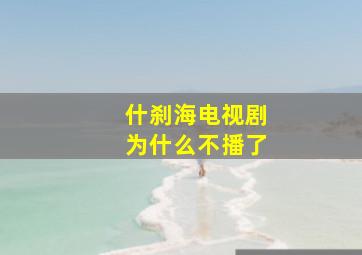 什刹海电视剧为什么不播了