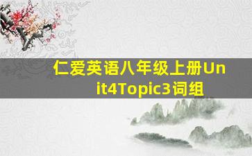 仁爱英语八年级上册Unit4Topic3词组