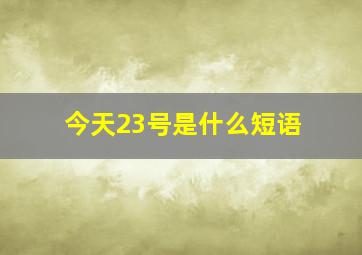 今天23号是什么短语