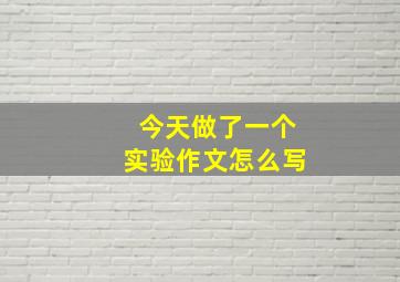 今天做了一个实验作文怎么写