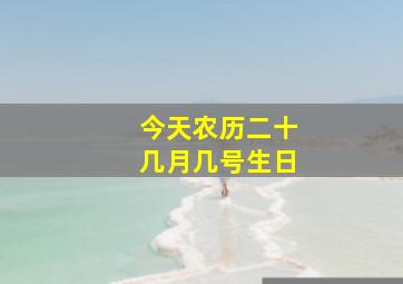 今天农历二十几月几号生日