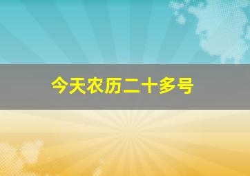 今天农历二十多号