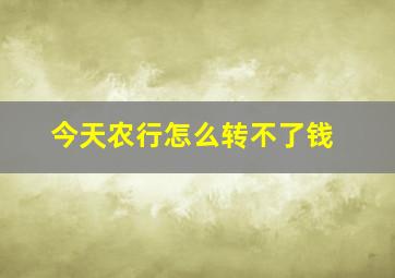 今天农行怎么转不了钱