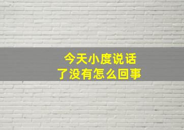 今天小度说话了没有怎么回事